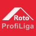 Roto Profi Liga